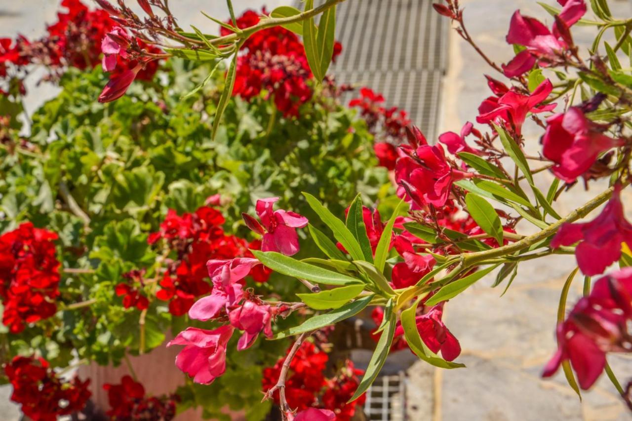 Emilia'S Little Farmhouses Agioi Anargyroi  Exterior photo